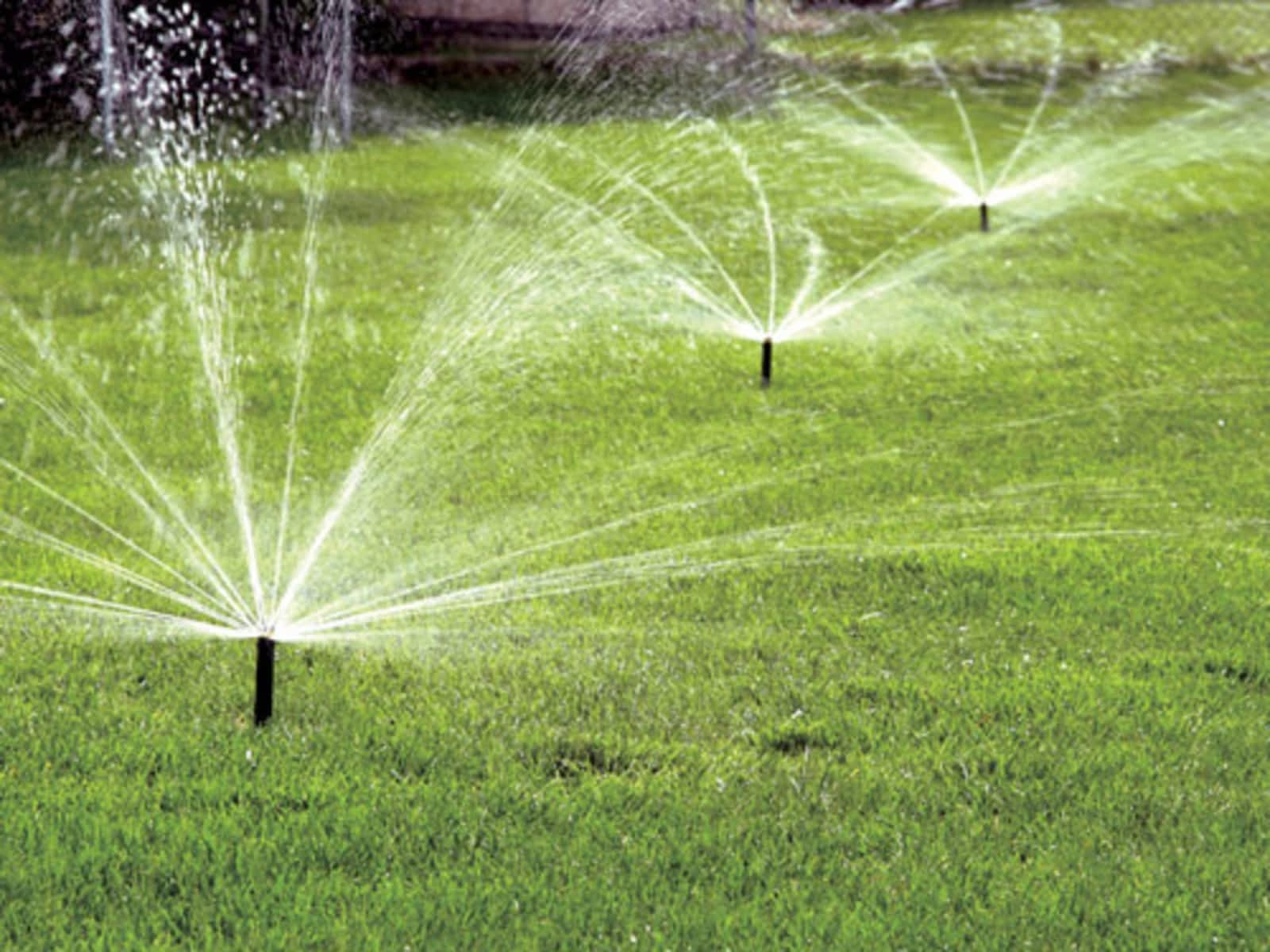 Sprinkler Heads