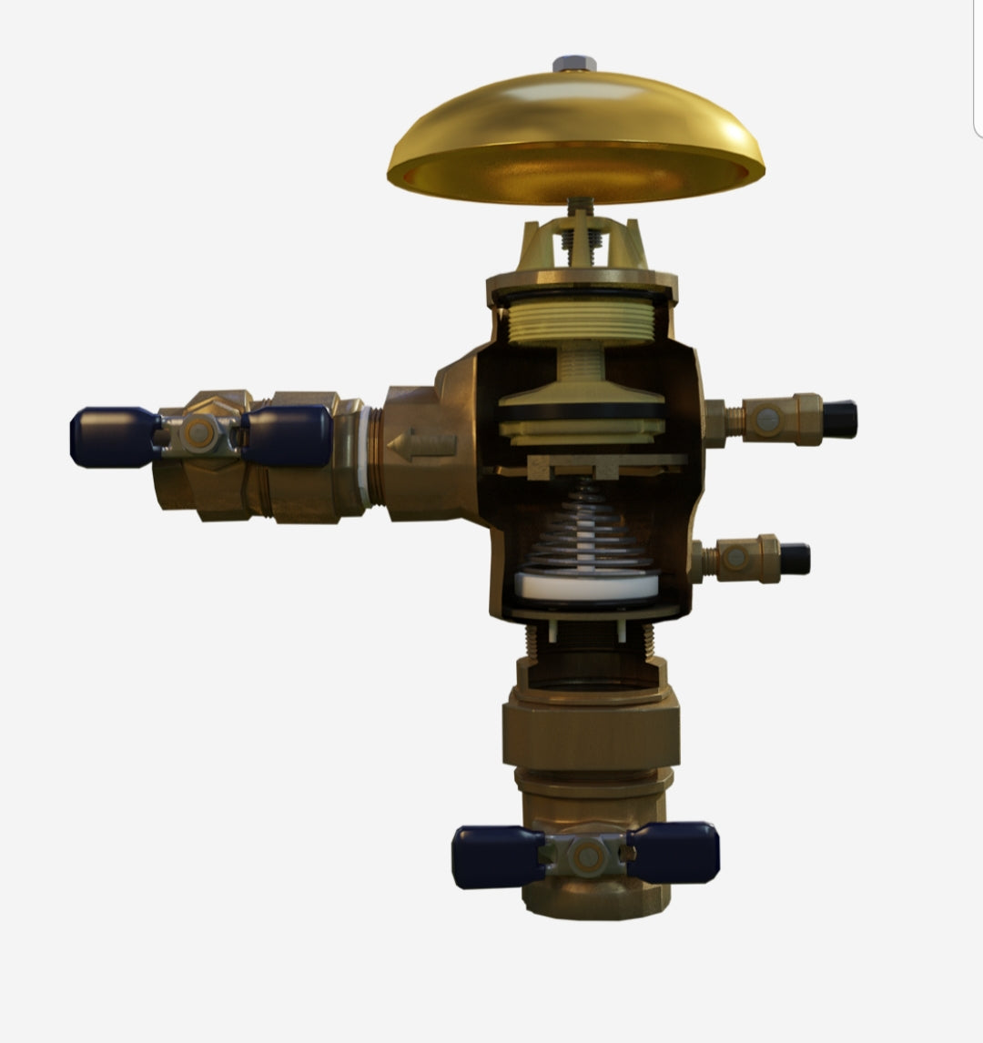 Pressure Vacuum Breakers