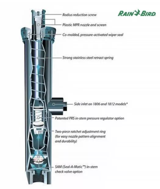 Rainbird 1806SAM 6" Pop-Up Spray Head Body W/ SAM Side Inlet Check Valve Pro DIY