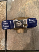 Sprinkler 3/4 " Ball Valve w Freeze Tolerant Plug 3/4" - Repair Valve - DIY Kit-4