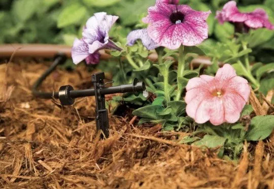 Rain Bird - Drip Irrigation Dripper/Emitter - 1 Gallon Per Hour - 30 Pack Garden