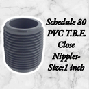 Schedule 80 PVC T.B.E. Close Nipples-Size:1 inch-2