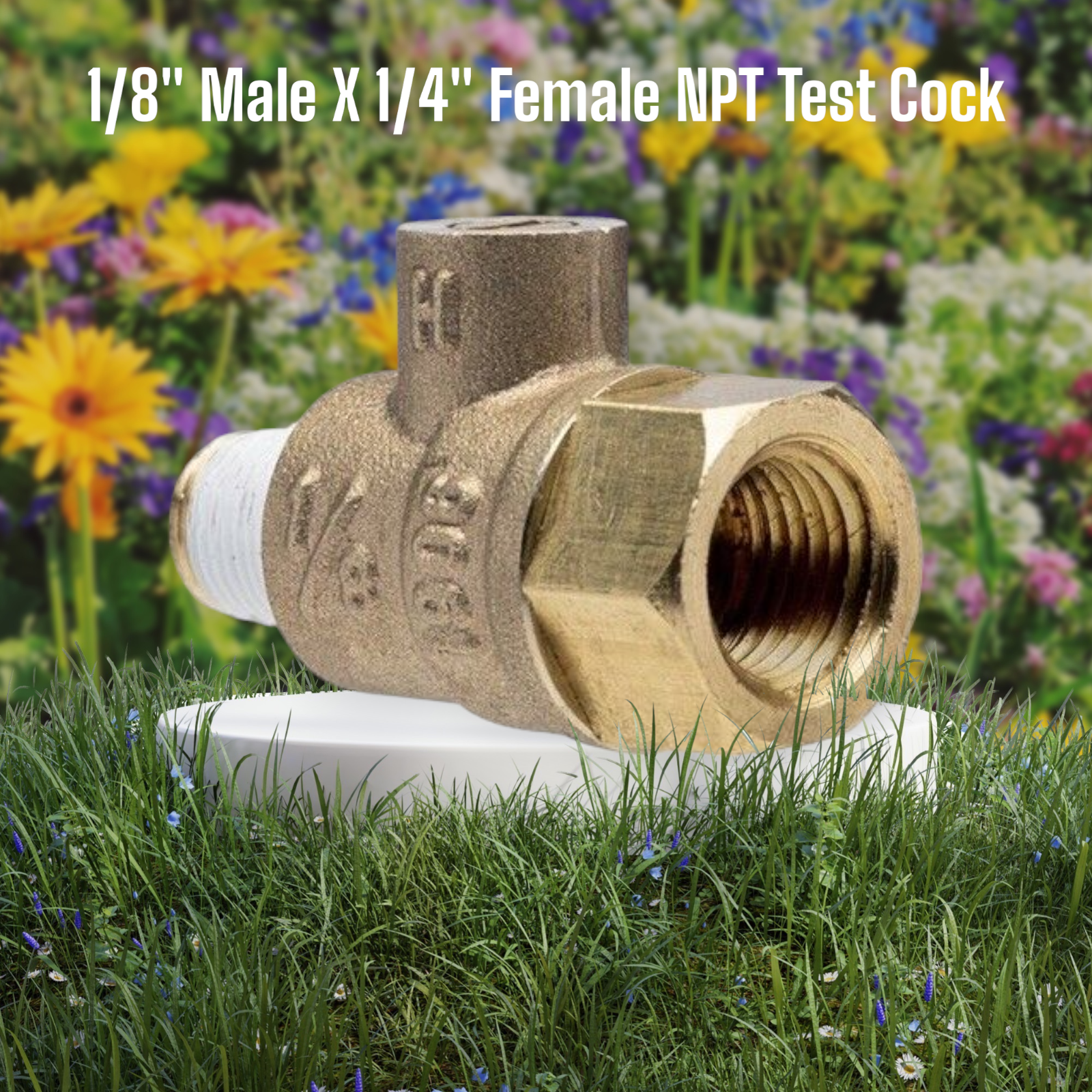 Wilkins Watts Febco - 1/8" Male X 1/4" Female NPT - Quick Connect Test Cock DIY