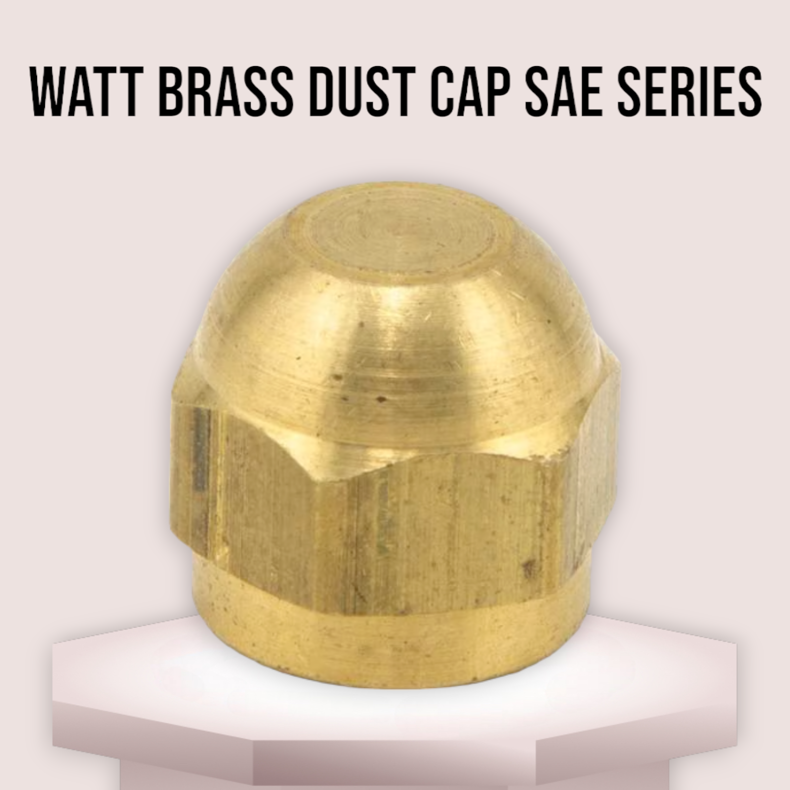 Watt brass dust cap SAE series-tc