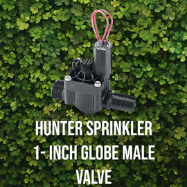 Hunter Sprinkler 1- Inch Globe Male Valve
