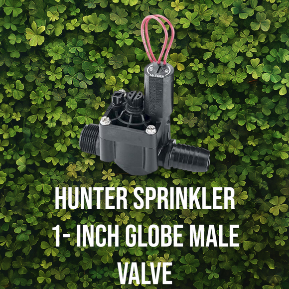 Hunter Sprinkler 1- Inch Globe Male Valve