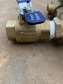 FEBCO 765-3/4" BACK FLOW PREVENTER PRESSURE VACUUM BREAKER Freeze Tolerant Valve