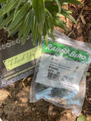 25 Pack - New Rain Bird 8VAN Nozzles with Filters - OEM - 8' w 0 to 360 Degree-1