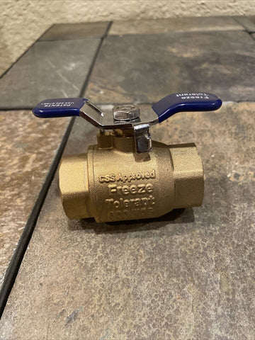 Sprinkler 1" Ball Valve w Freeze Tolerant Plug 1" - Repair Valve - DIY Kit Febco - 0