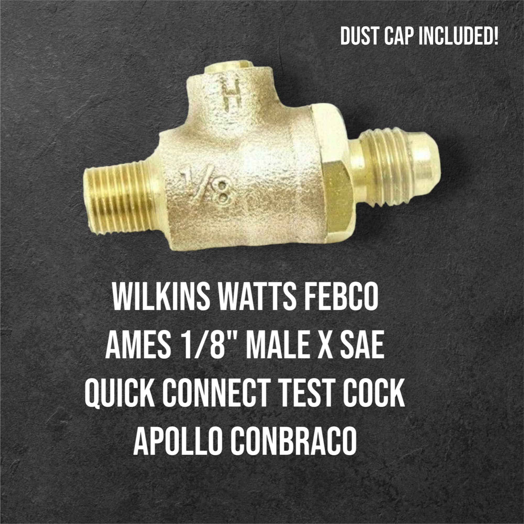 Wilkins Watts Febco Ames 1/8" Male X SAE Quick Connect Test Cock Apollo Conbraco